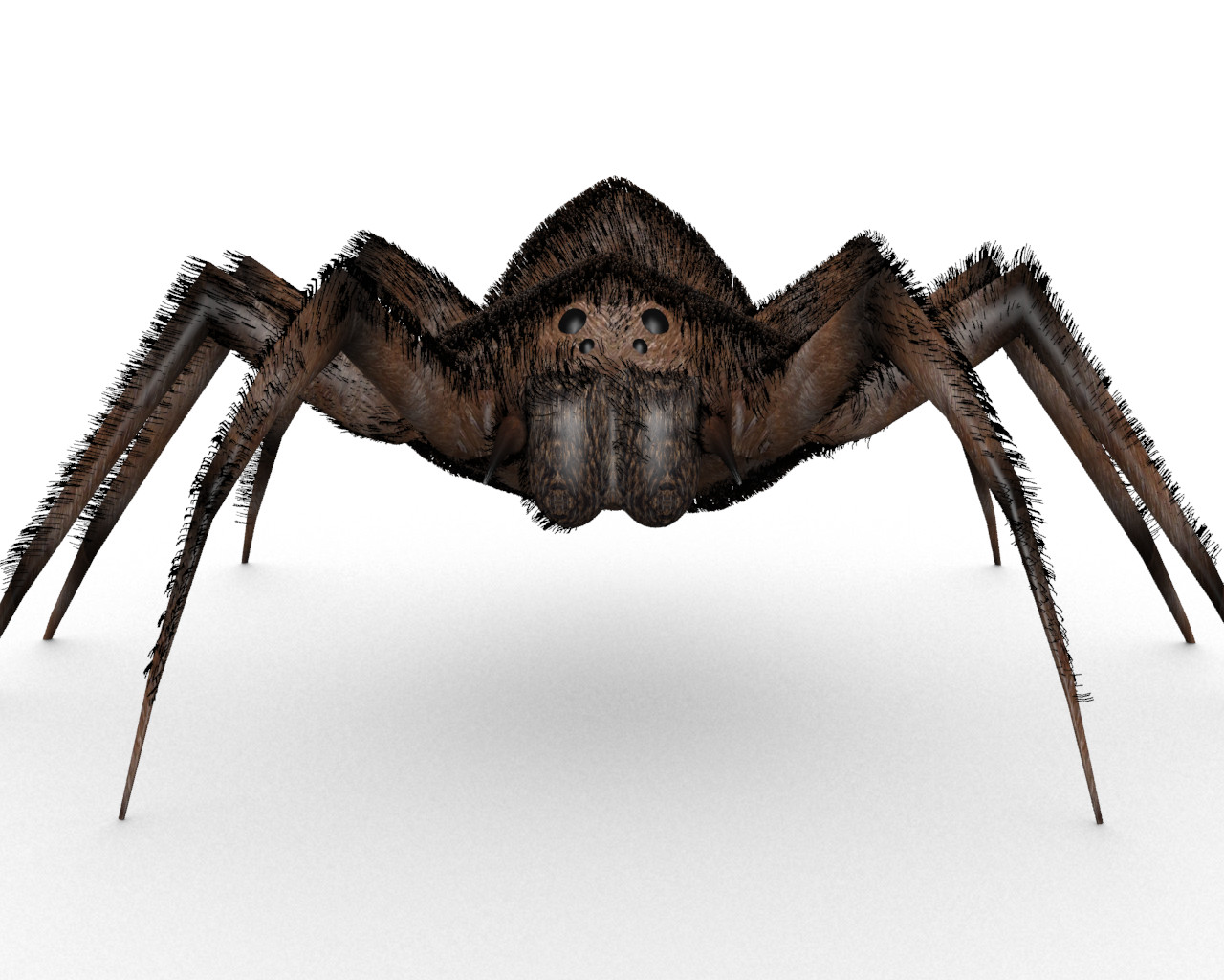 Connor Wassall Portfolio Spider 3d Model And Animation