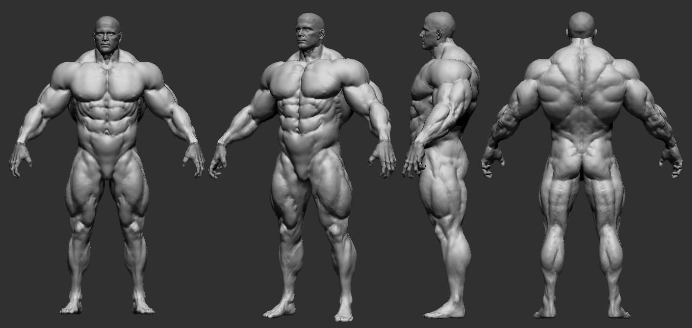 Artstation Male Fullbody Bodybuilder Yuchi Chin