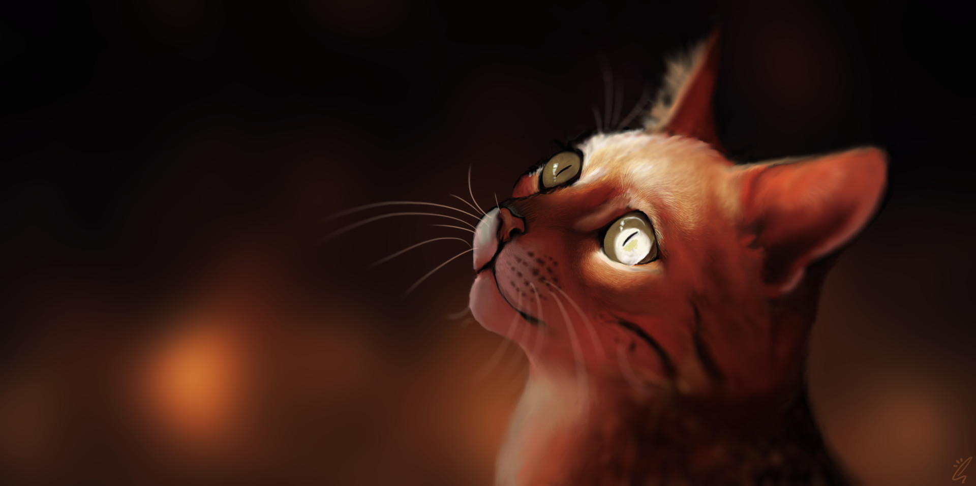 Кот смотрит вверх рисунок