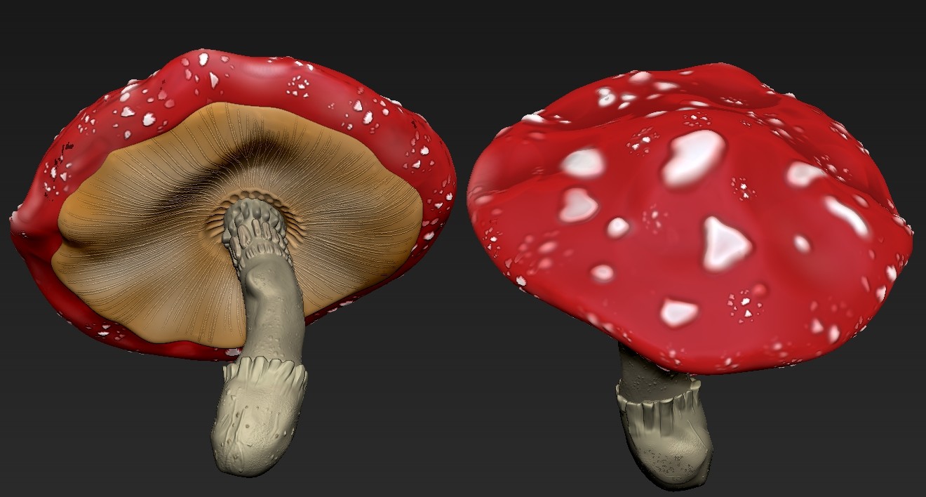 mushroom 