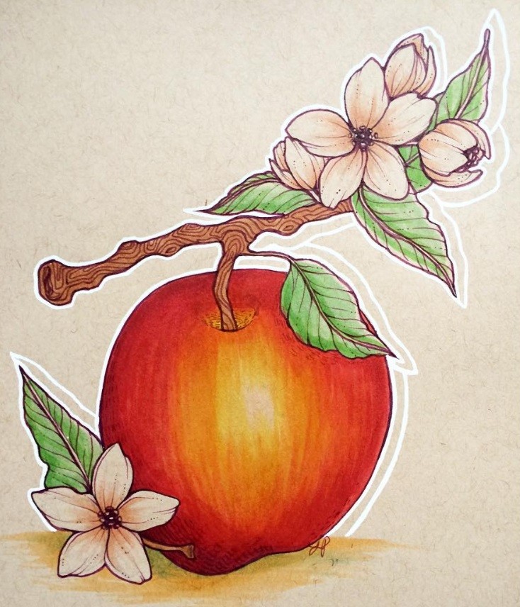 Lianne Pflug - Apple