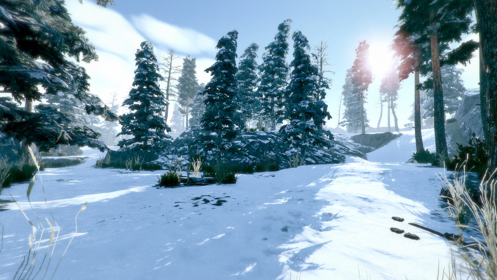 Wallpaper engine лес. CRYENGINE зима. Самые красивые пейзажи на движке source -Unreal -CRYENGINE -скайрим -Skyrim. Карта зимнего леса. Wallpaper engine снег.