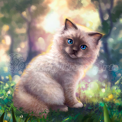 Vasilyna holod cat