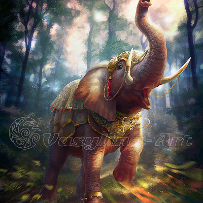 Vasilyna holod elephant