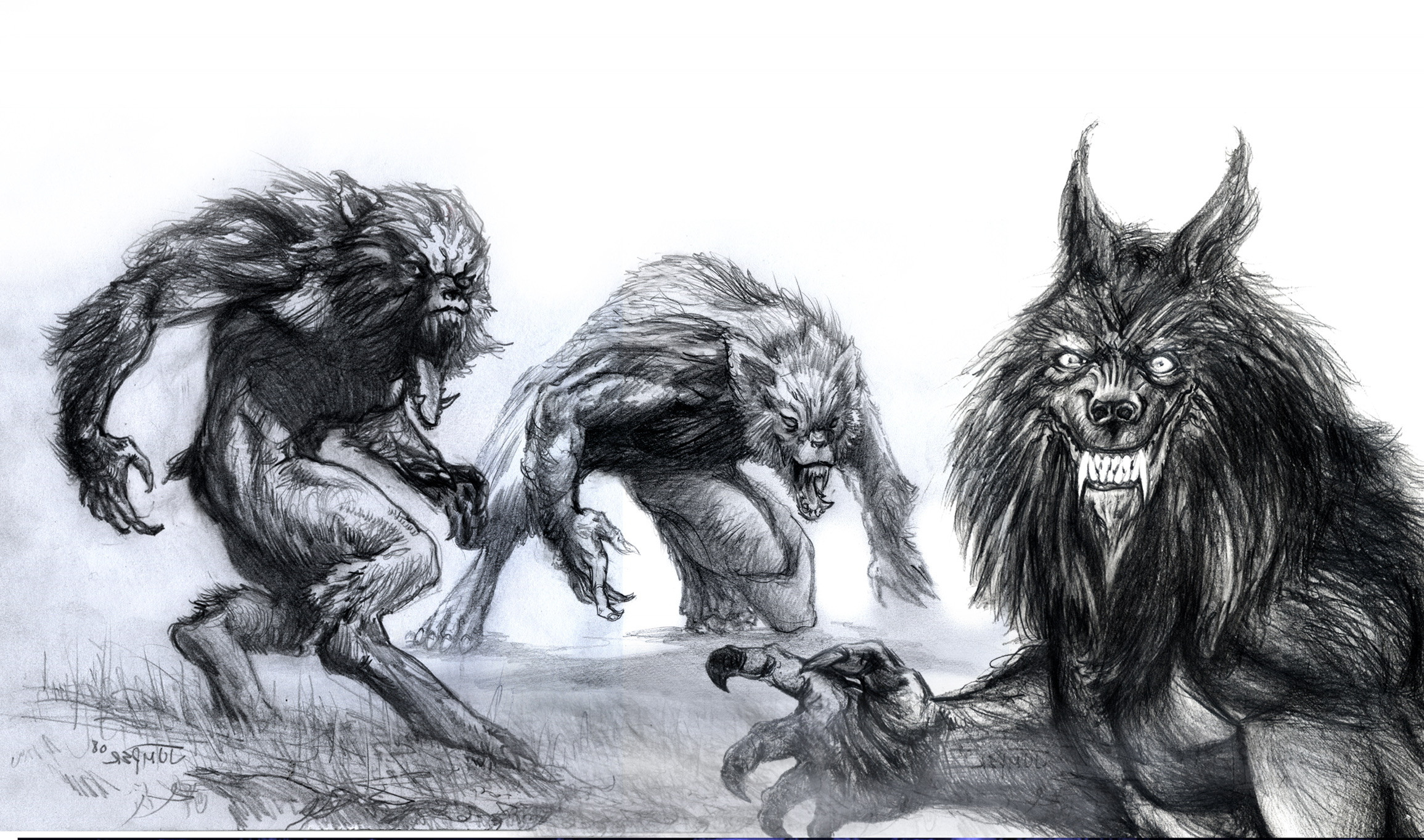Werewolves at Night Sketch