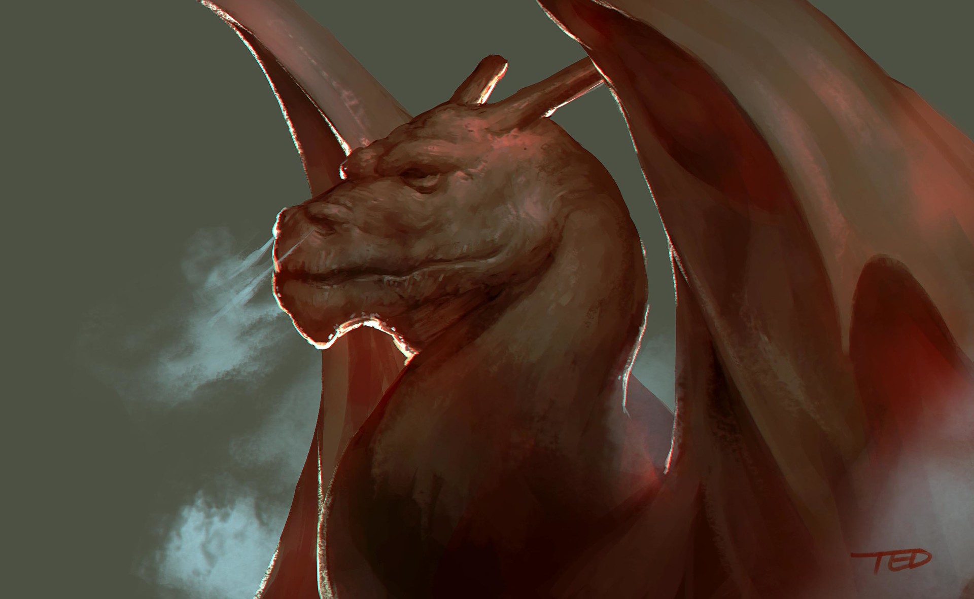 pokemon charizard teddy