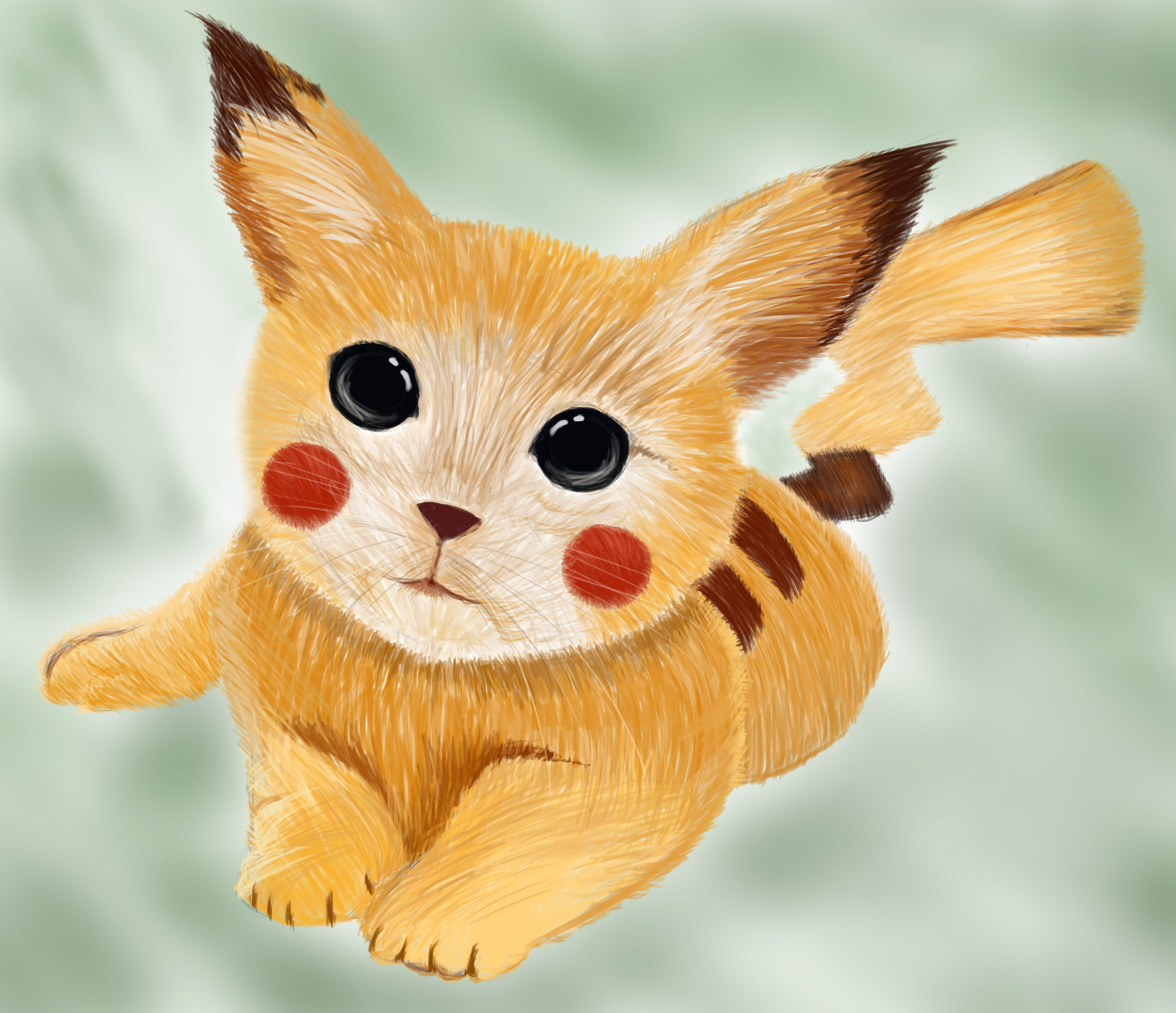 Wei Seng Lee Pikachu Cat