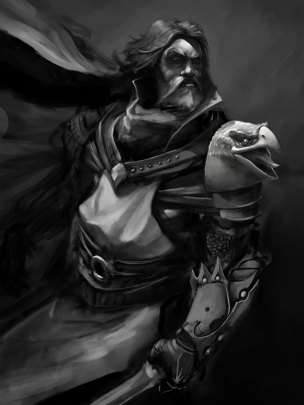 старый паладин. сильдар холлвинтер днд. Paladin hammer. паладин старой школы. паладин лекарь косплей.