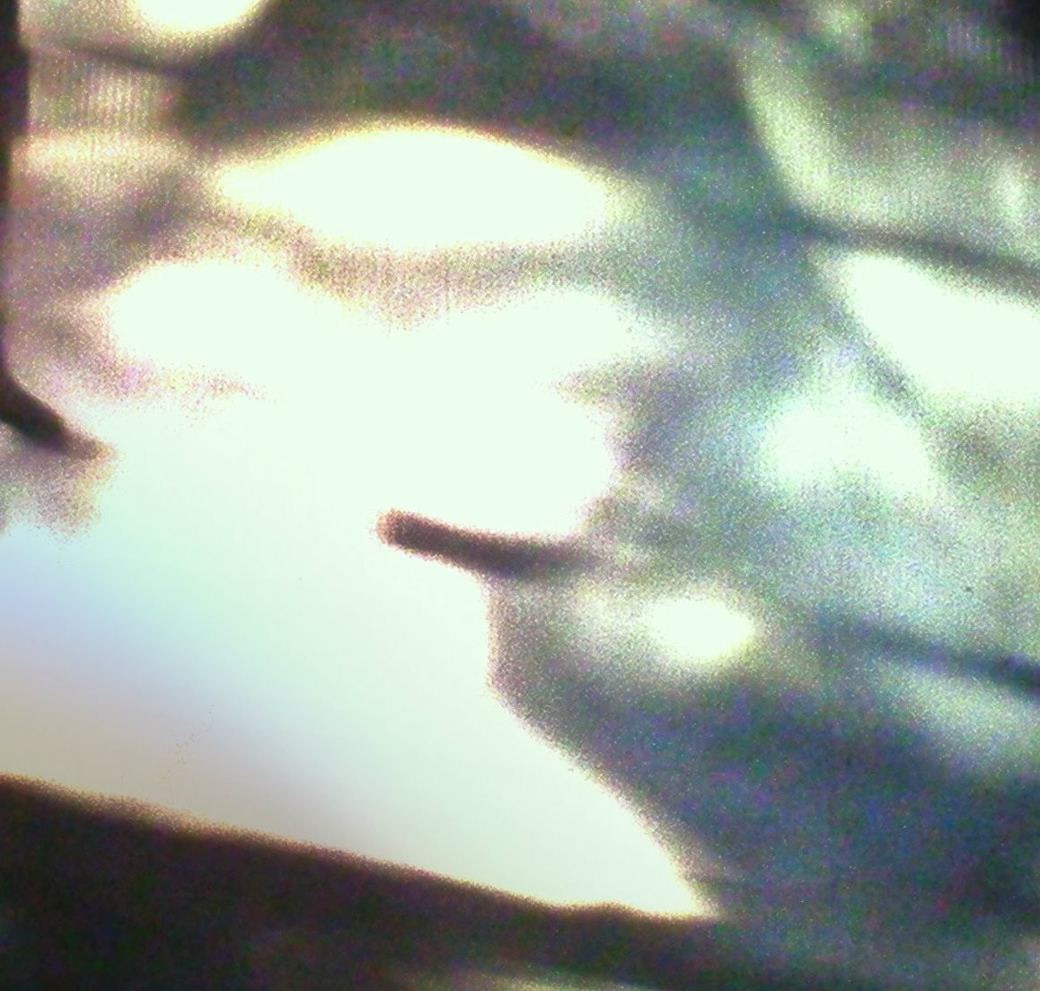 Fairyghost