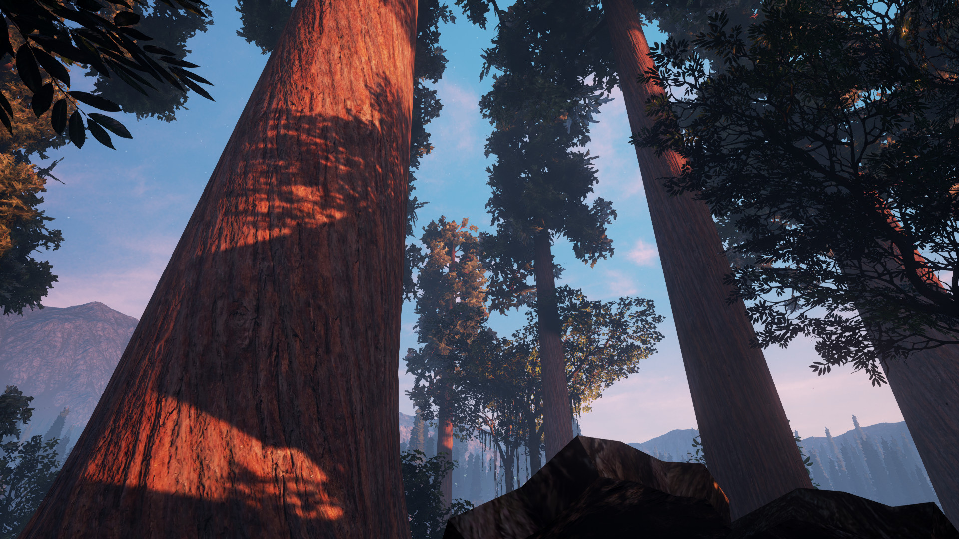 Artstation Unreal Engine 4 Redwood Forest Sunset