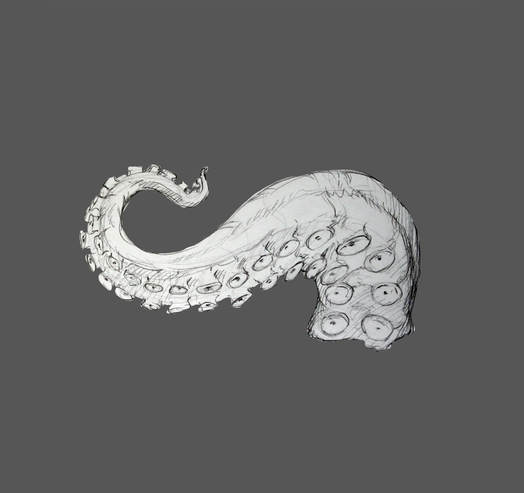 Artstation Study Octopus Digital Painting Alexandre De Souza