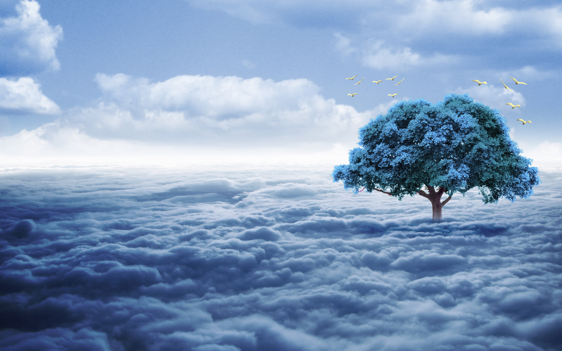 mohamed faez photoshop compositing