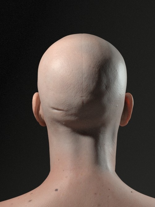 Back (note displacement texture seam)