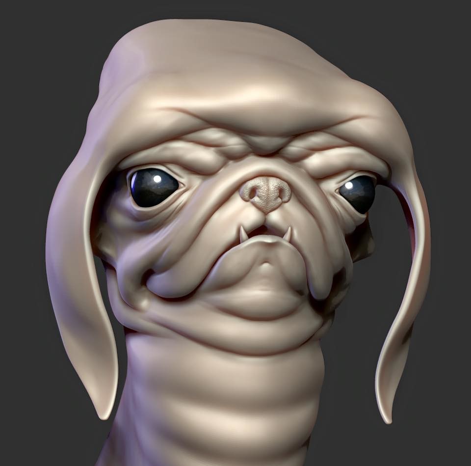 Creature Sketch (4 hours) 