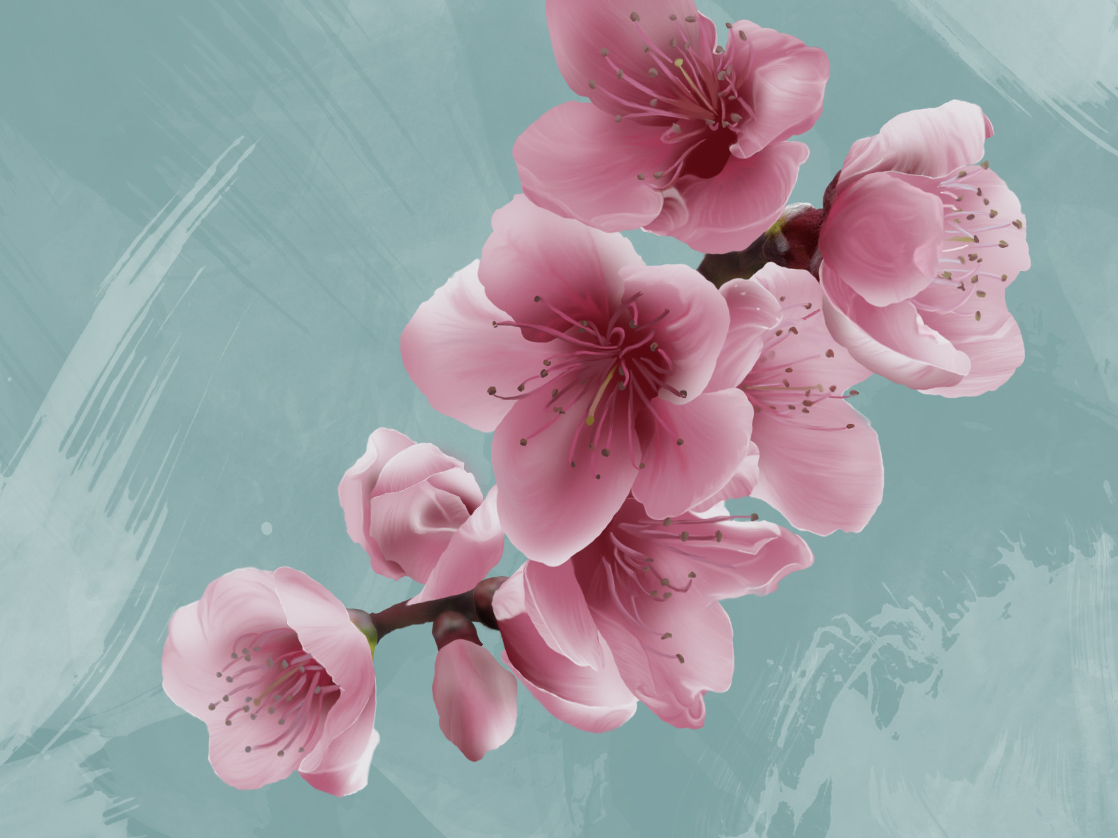 Camille Isquierdo Cerisier Japonais Camille Isquierdo Cerisier Japonais