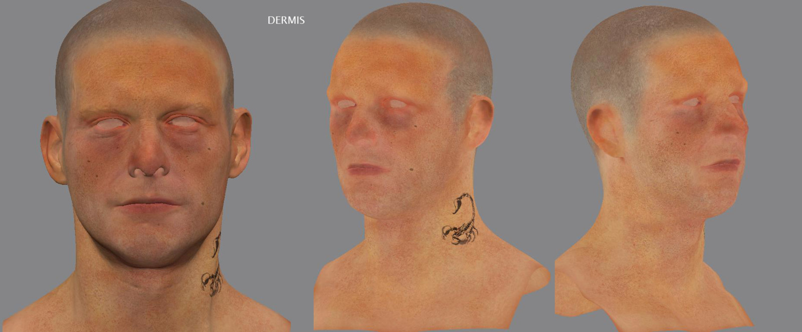 Dermis (Mid Scatter) Texture