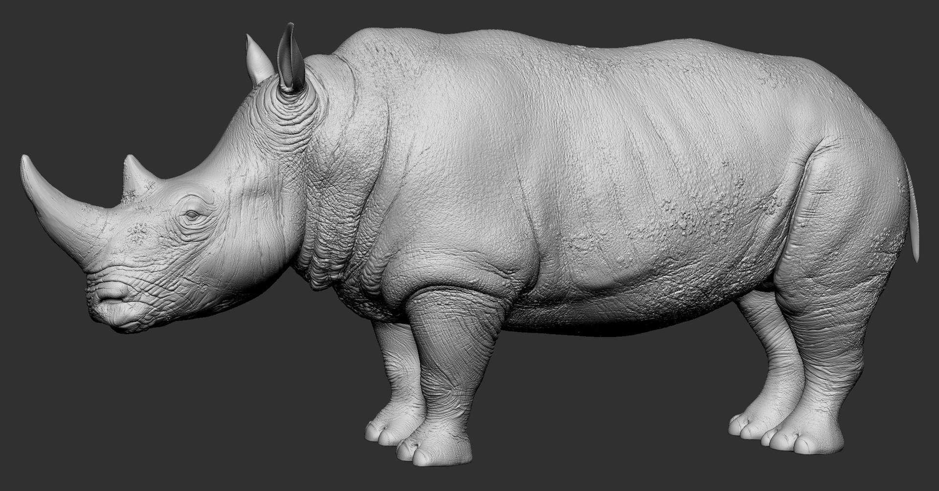 sculpting ring design illustrator rhino zbrush
