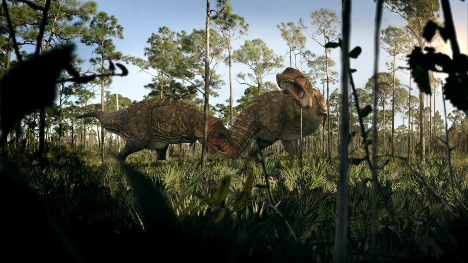 dino death trap national geographic