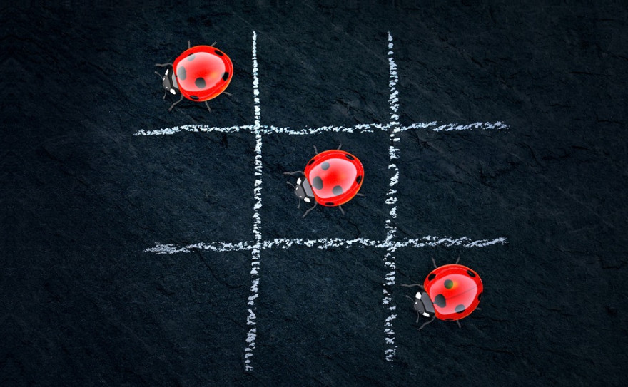 lady bugs in a row.