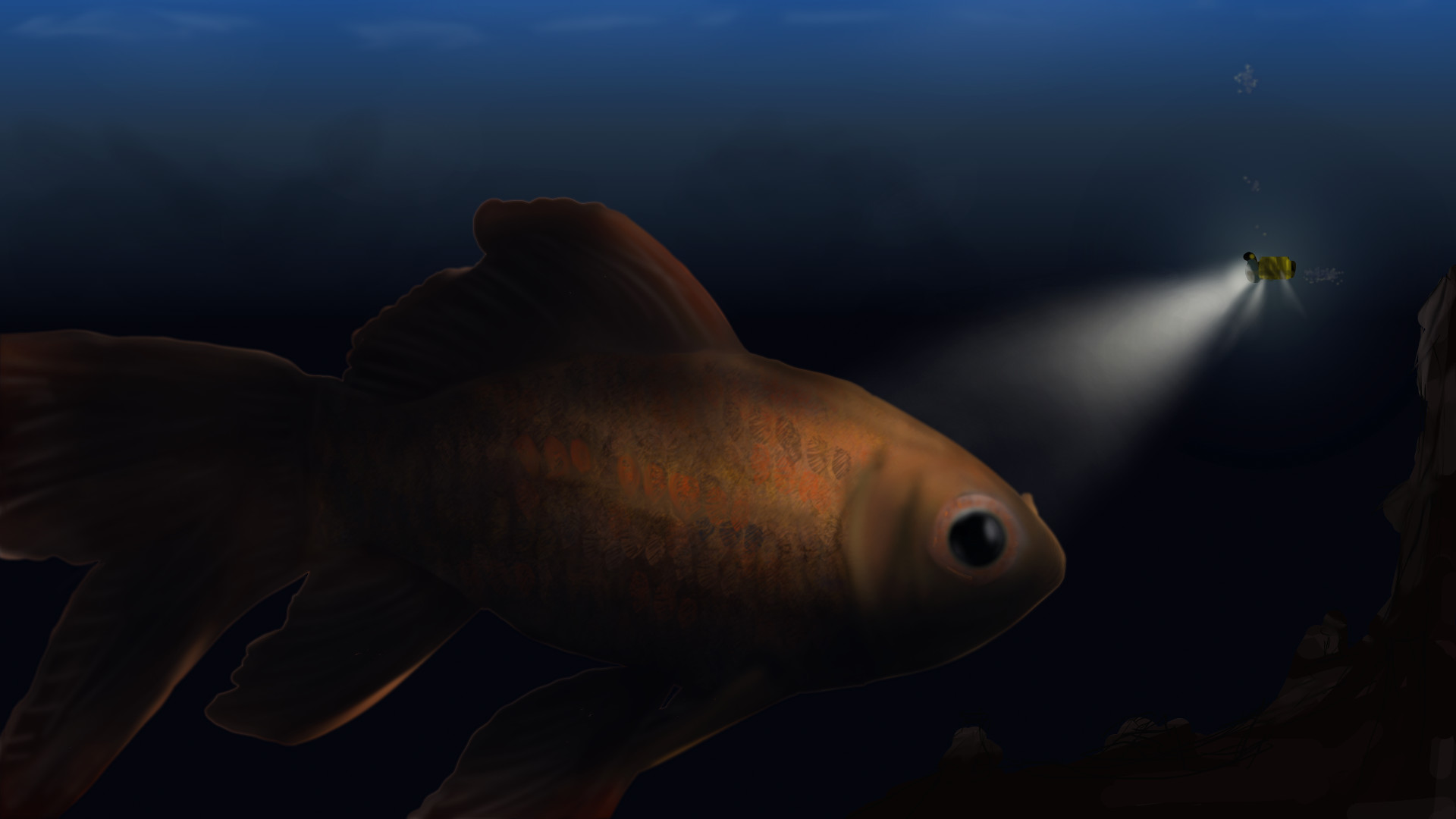 Vibrant underwater scene featuring colorful goldfish swimming among coral  and aquatic plants in a tank 69401788 Stock Photo at Vecteezy, image size:1920x1080