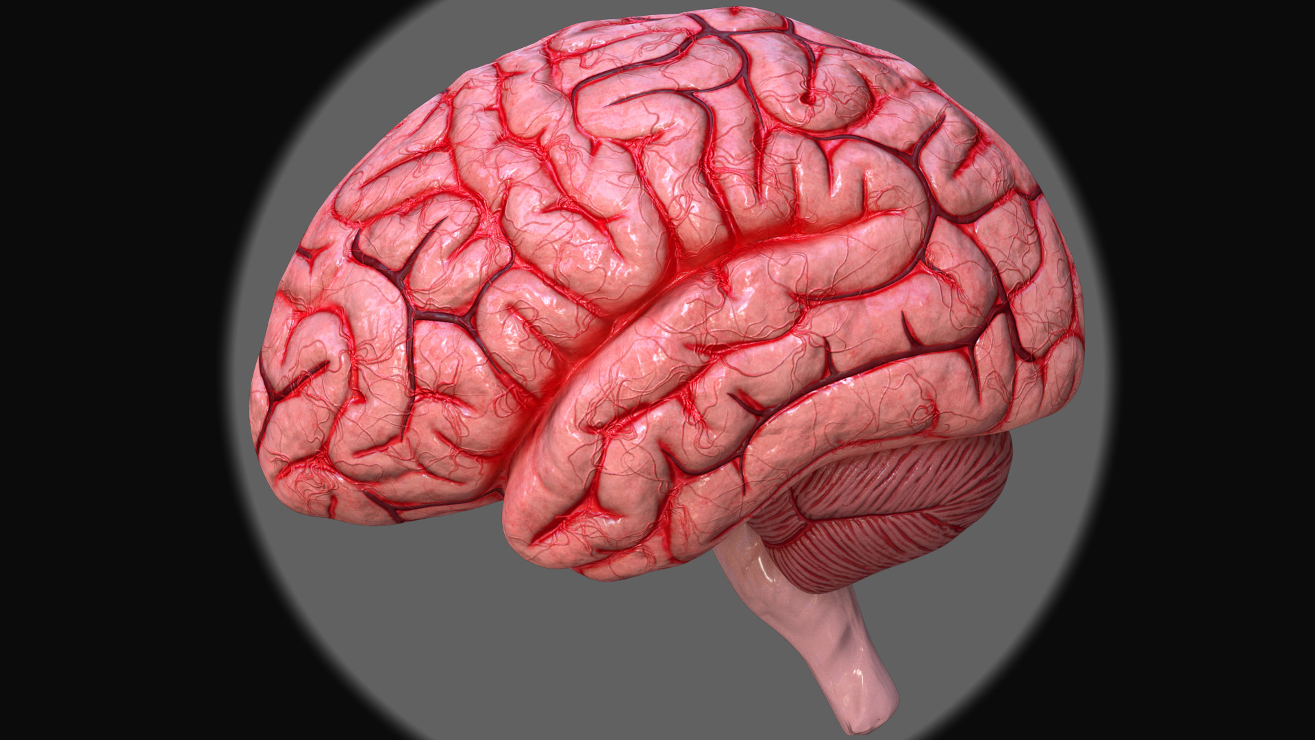 12 brains. Текстура мозга бесшовная.