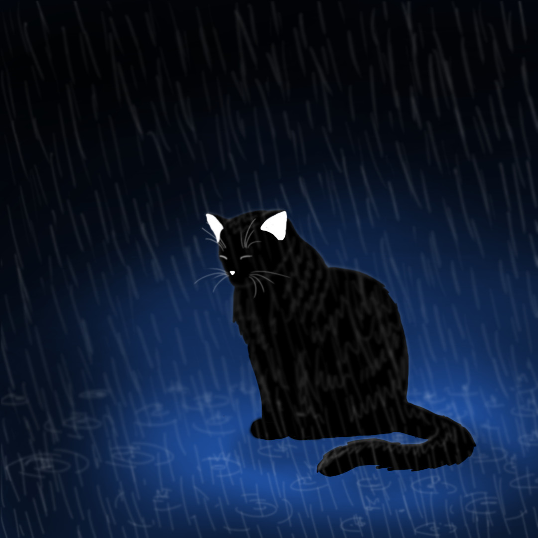Ricardo Ferreira Cat In The Rain