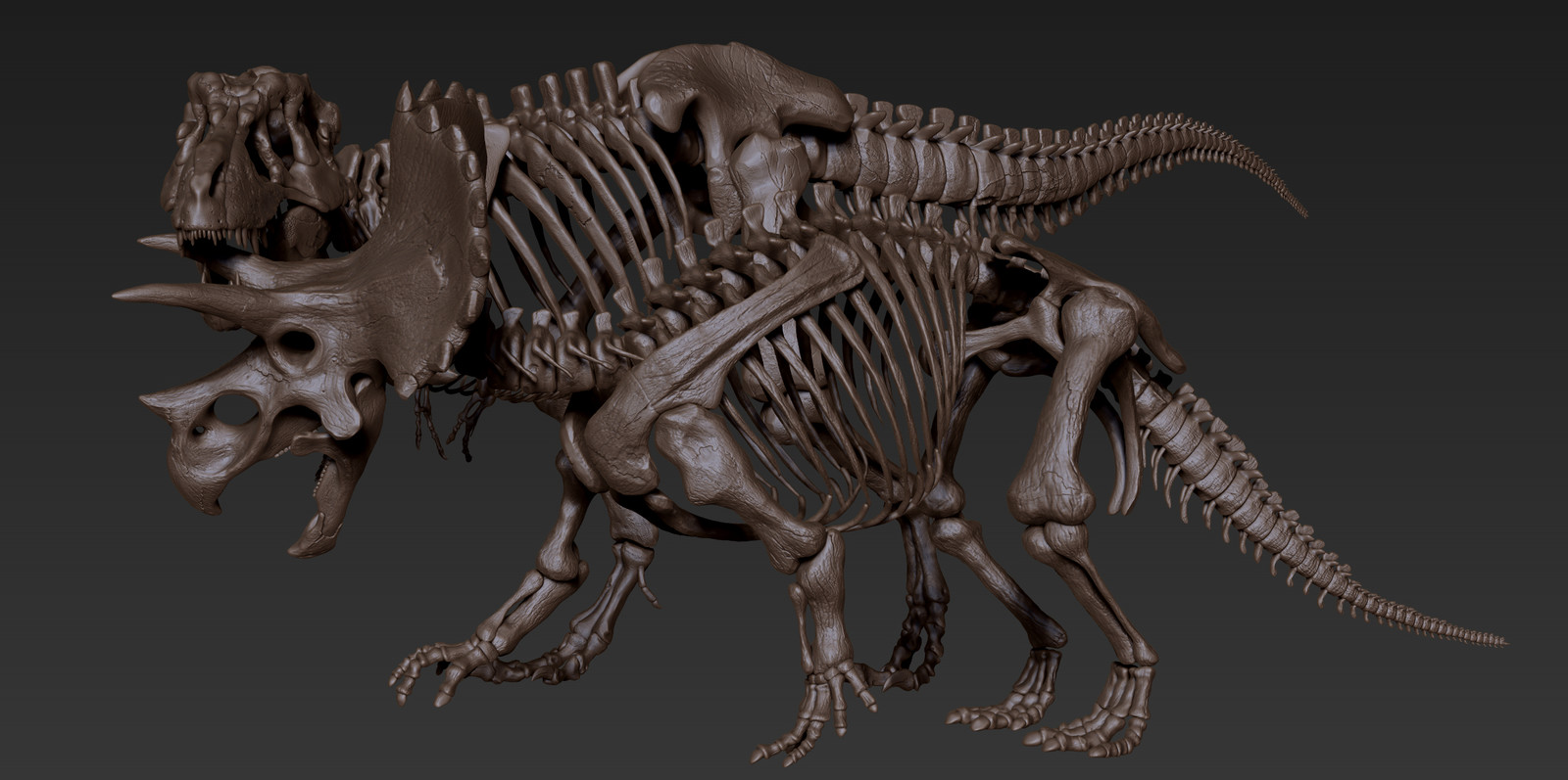 complete t rex skeleton triceratops