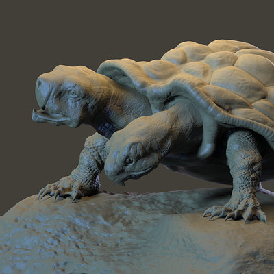 Dirk wachsmuth turtle render2 4web