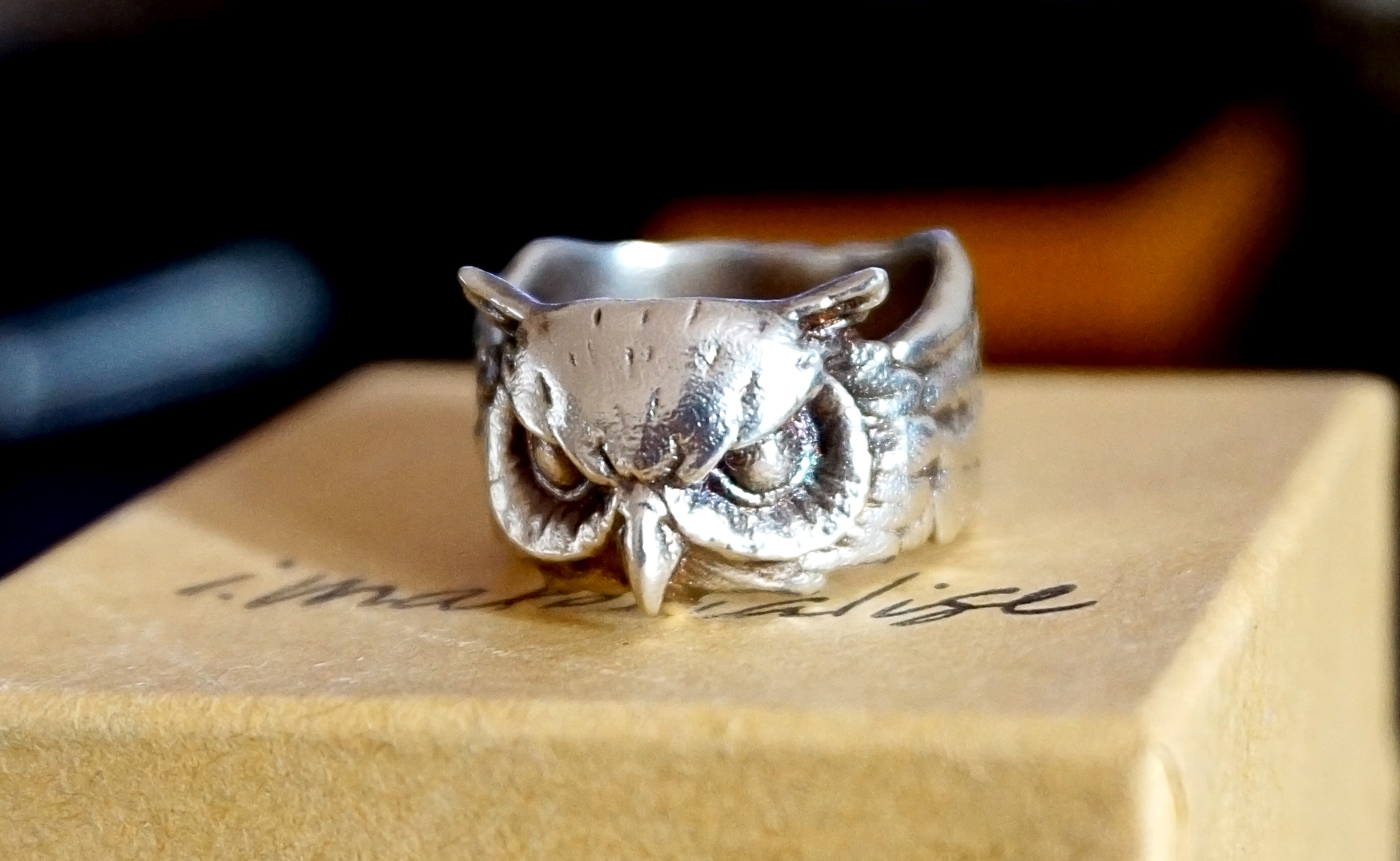 Georgian Avasilcutei Owl ring 3d printed