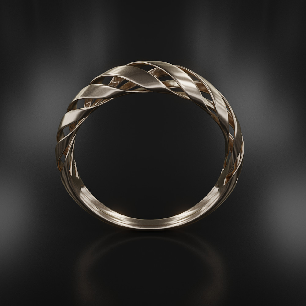 Andrei Boldurat - Net Ring