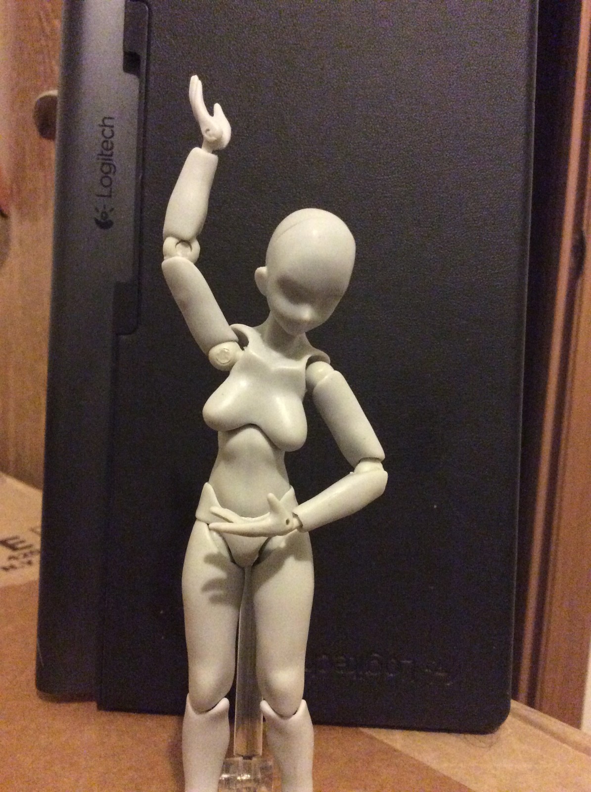 Figure pose for reference