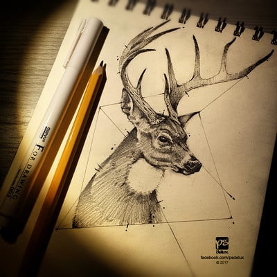 Psdelux 20170213 deer sketch psdelux