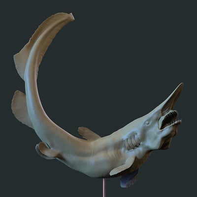 Dirk wachsmuth goblin shark render 01 4web