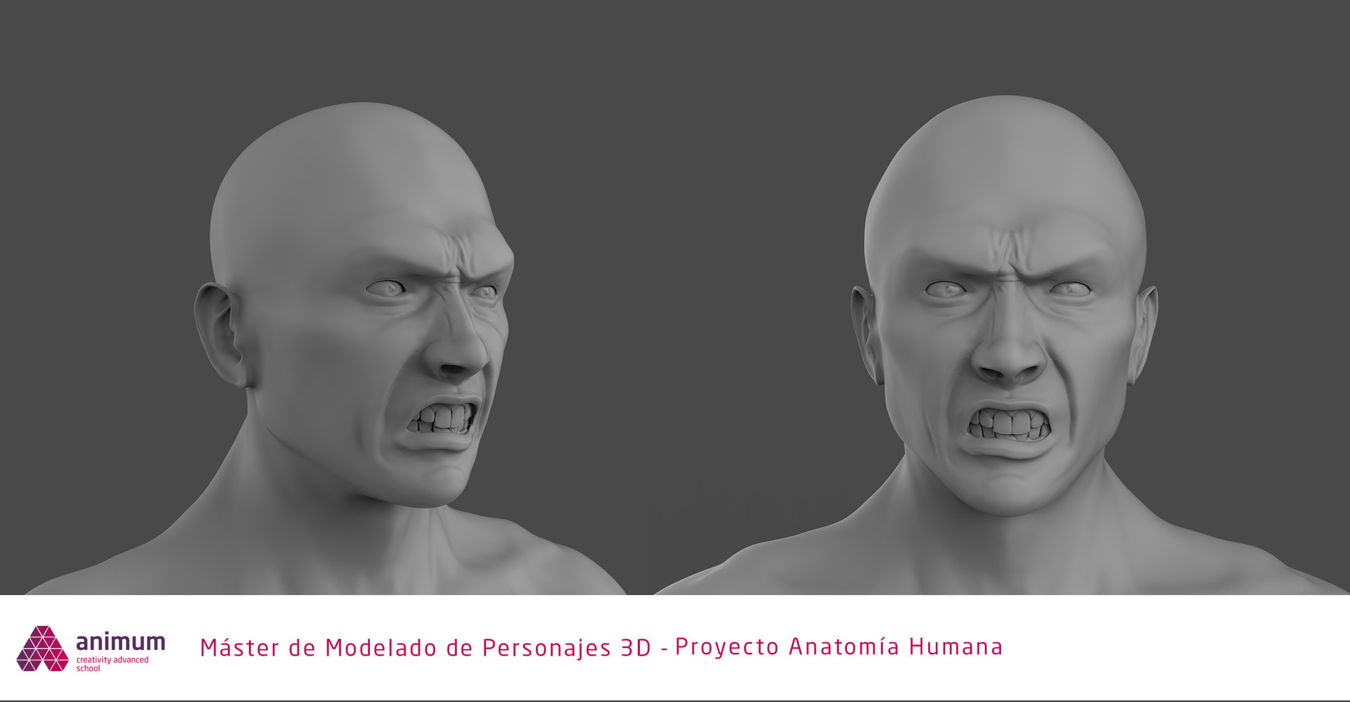 Anger facial expression Telegraph