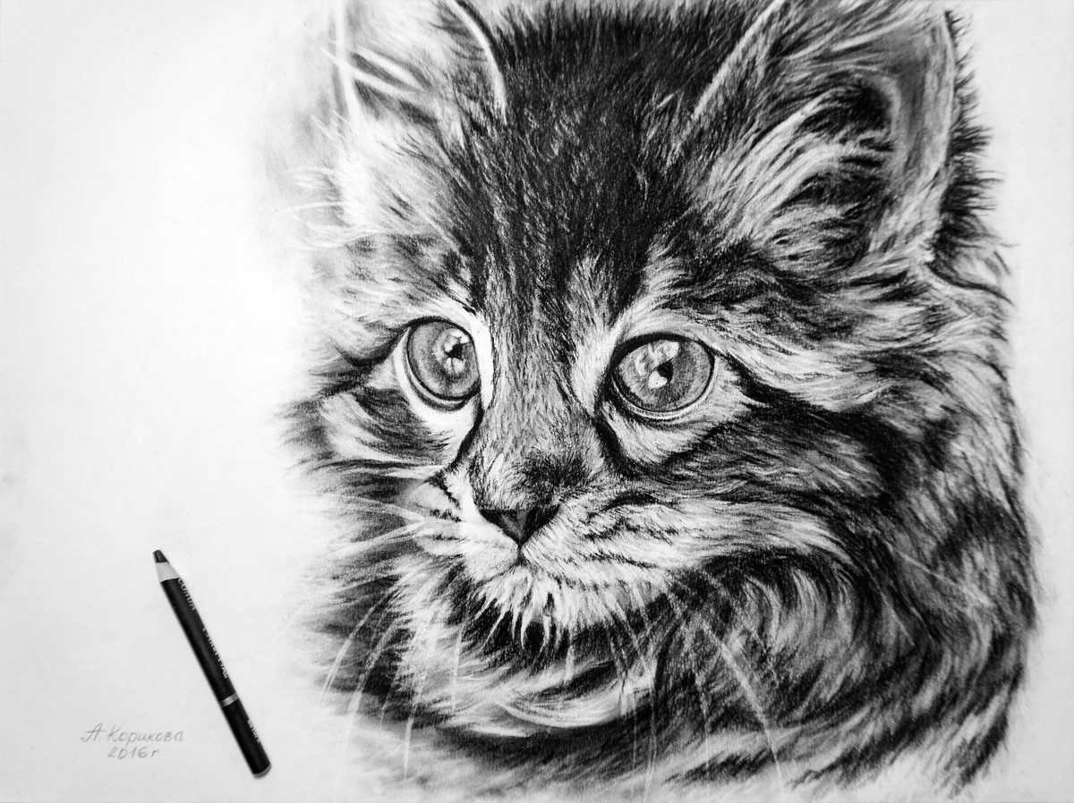 Рисунки которые можно нарисовать углем