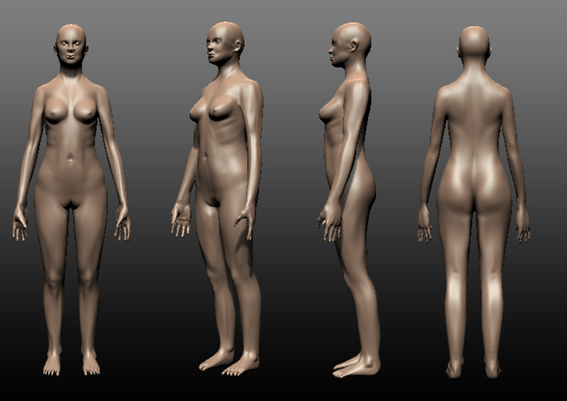 3D Female Human Model.