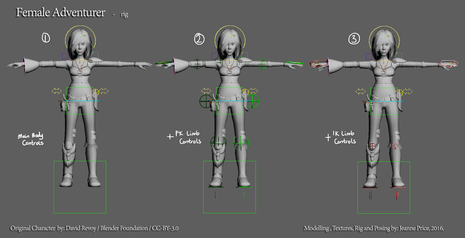 I separated the rig into 3 parts.
1) The base rig.
2) The base rig plus FK blended controls.
3) The base rig plus IK blended controls.