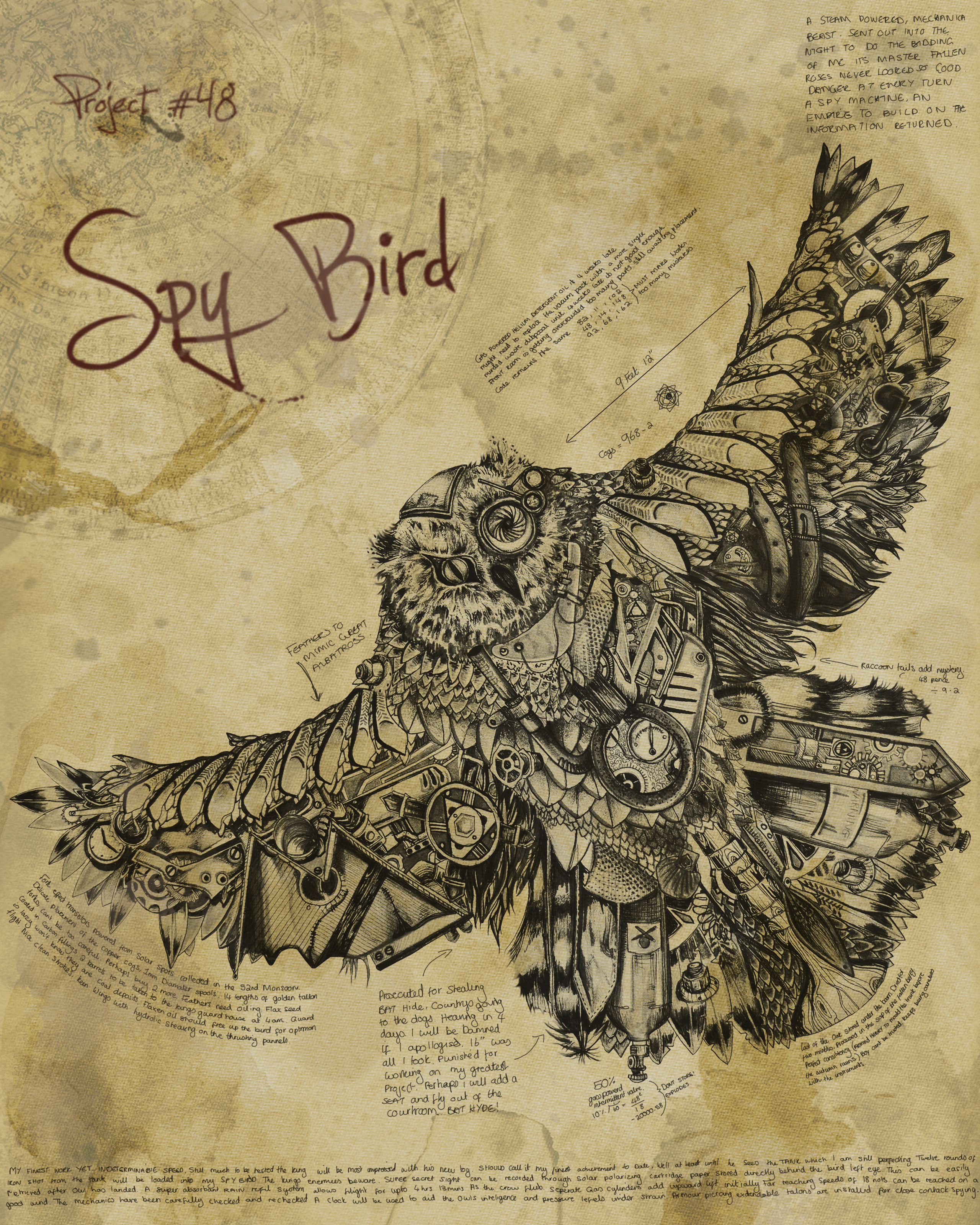 Spy Bird