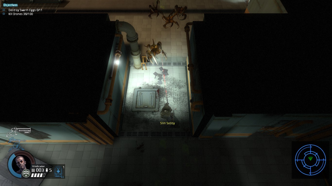 Sebastian Hamza Alien Swarm Map