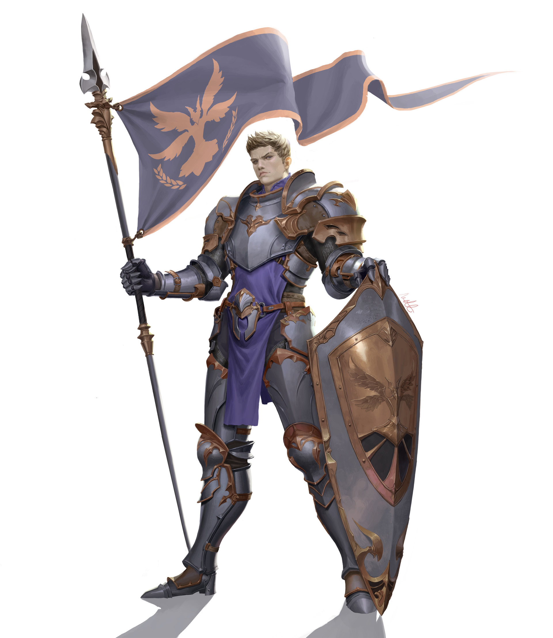 shield flag knight man.
