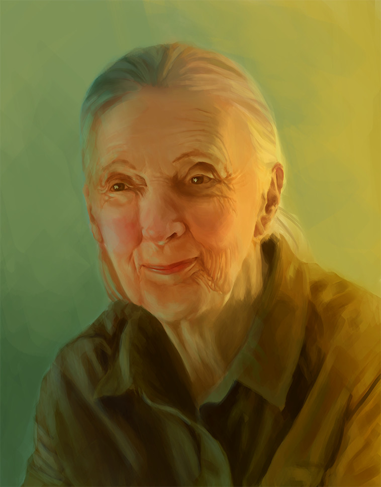 ArtStation - Jane Goodall