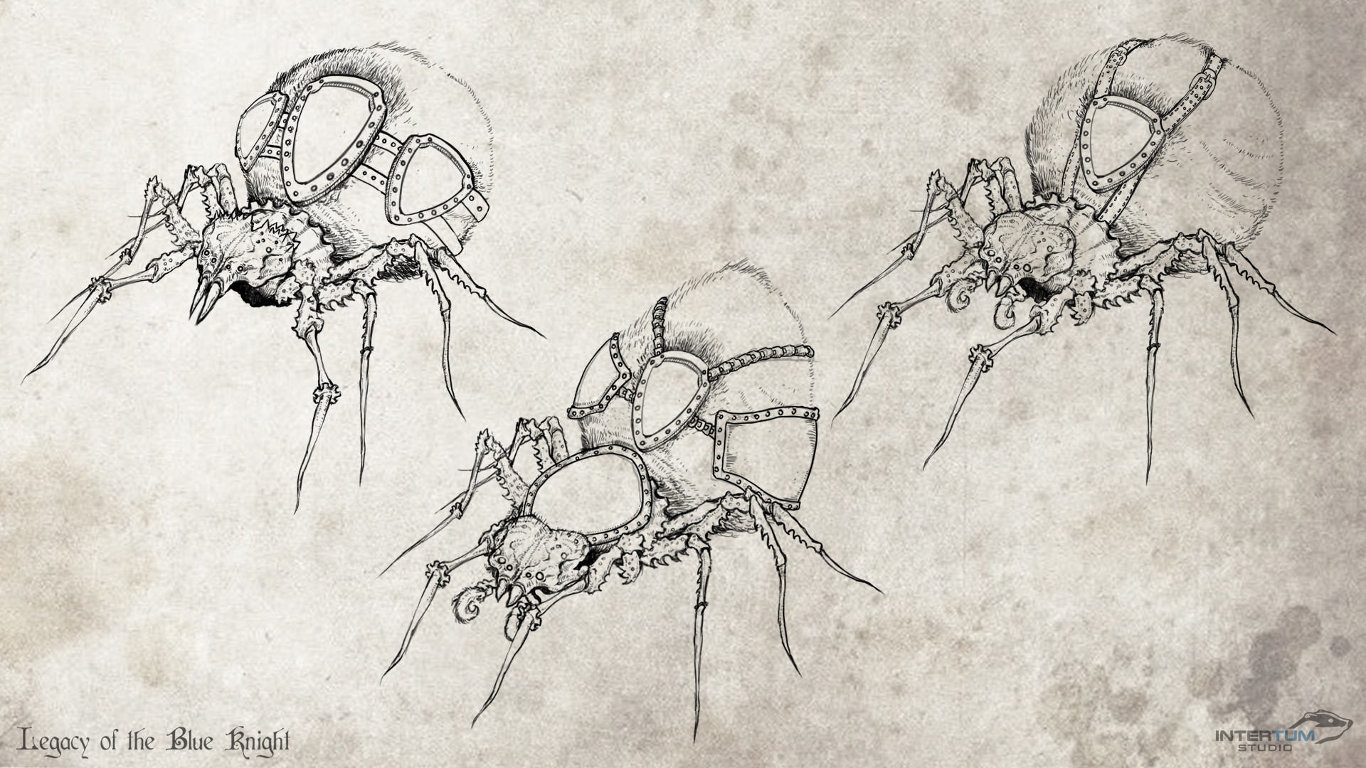 ArtStation - Squire Spider's, Concept Art