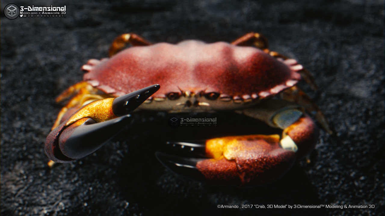 Crab
