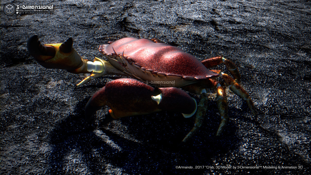 Crab