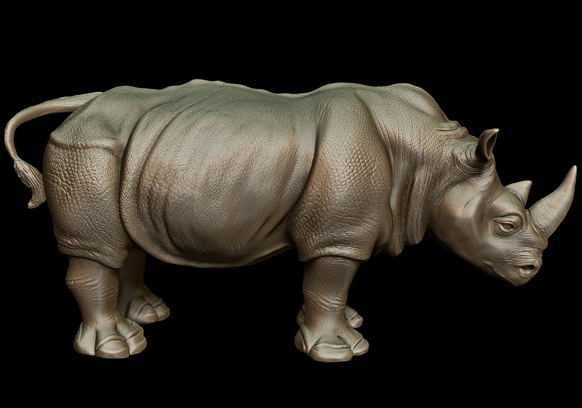 Stark Stefen Rhinoceros 3d Model