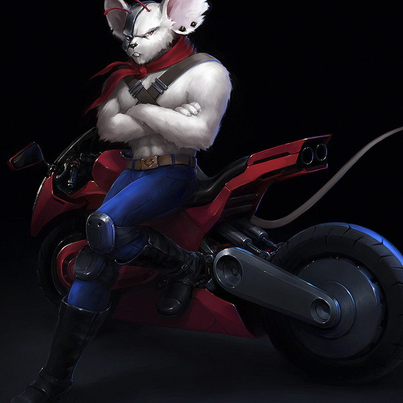 Biker Mice age