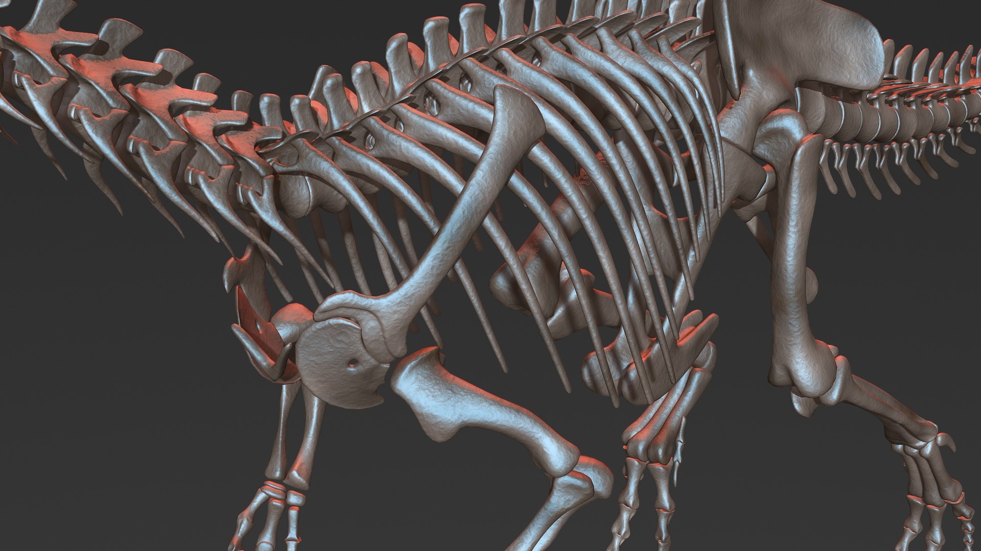 allosaurus skeleton