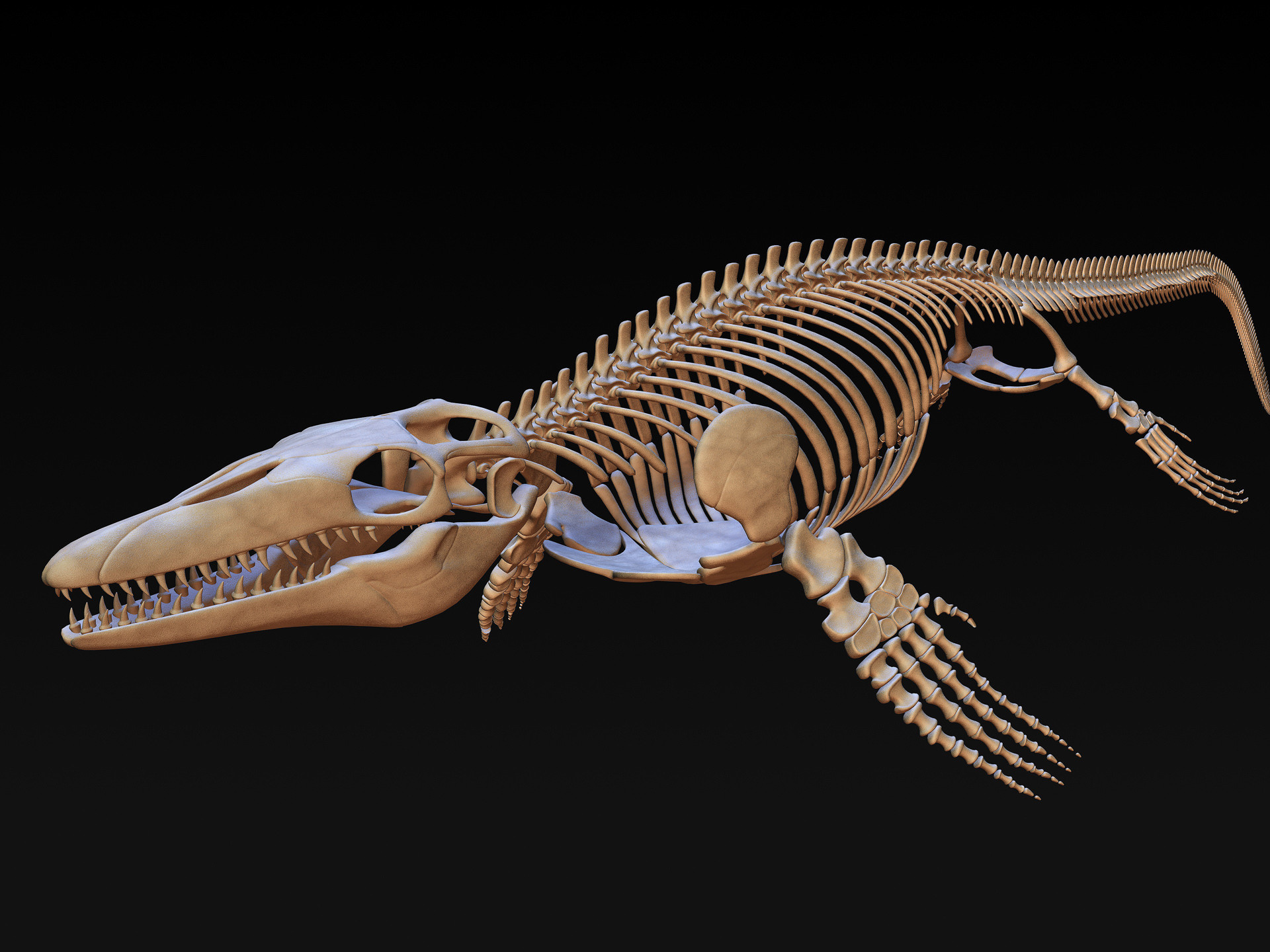 mosasaurus bone