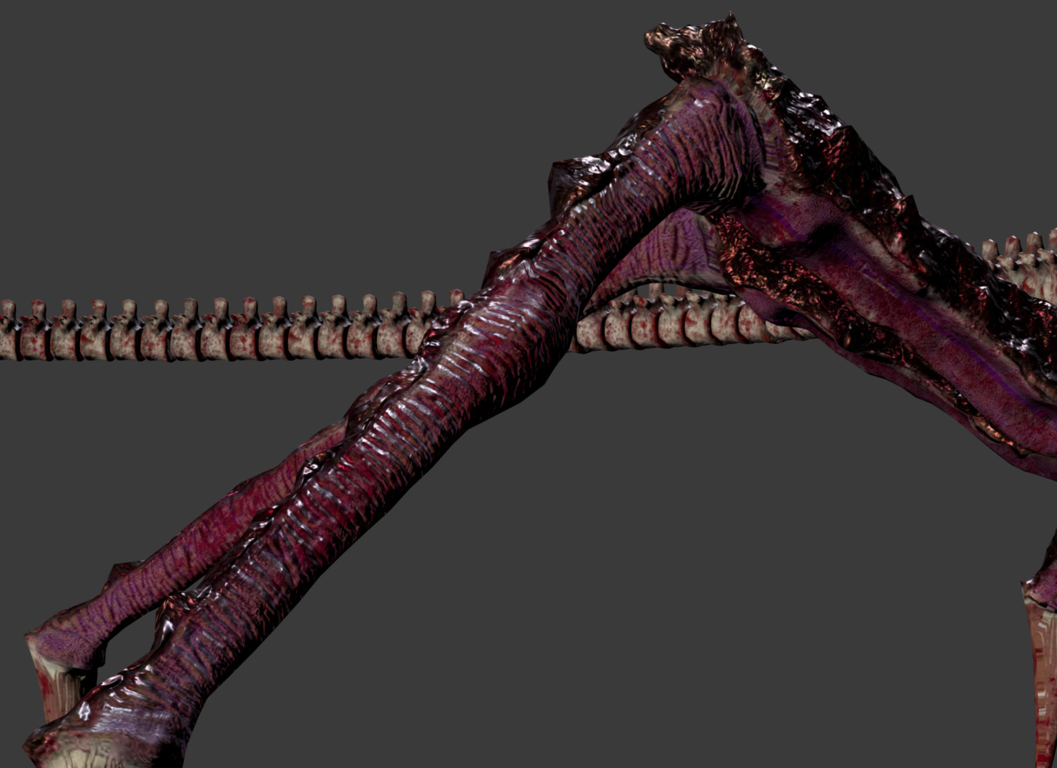 Close Up - Legs (Under)