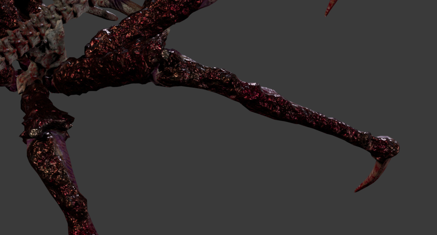 Close Up - Legs (Above)